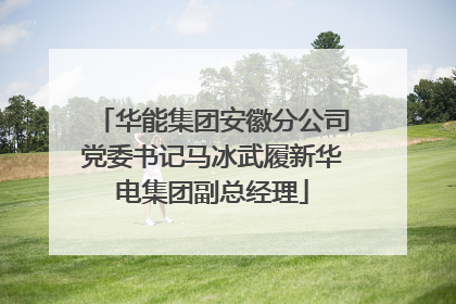 华能集团安徽分公司党委书记马冰武履新华电集团副总经理