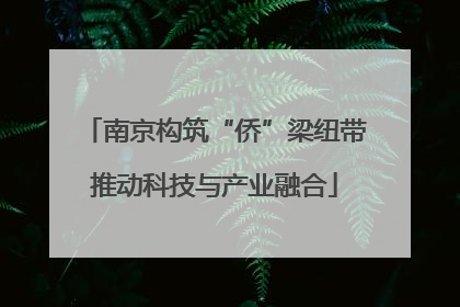 南京构筑“侨”梁纽带推动科技与产业融合