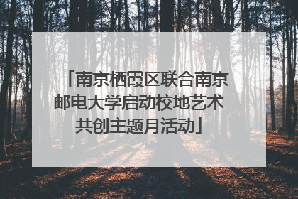南京栖霞区联合南京邮电大学启动校地艺术共创主题月活动
