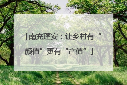 南充蓬安：让乡村有“颜值”更有“产值”