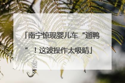 南宁惊现婴儿车“遛鸭”！这波操作太吸睛