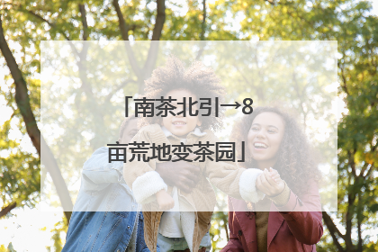 南茶北引→8亩荒地变茶园