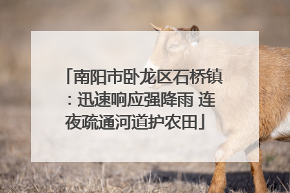 南阳市卧龙区石桥镇：迅速响应强降雨 连夜疏通河道护农田