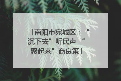 南阳市宛城区：“沉下去”听民声 “聚起来”商良策