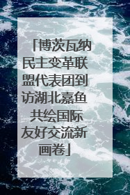 博茨瓦纳民主变革联盟代表团到访湖北嘉鱼 共绘国际友好交流新画卷