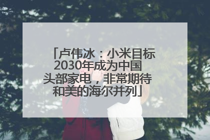 卢伟冰：小米目标2030年成为中国头部家电，非常期待和美的海尔并列