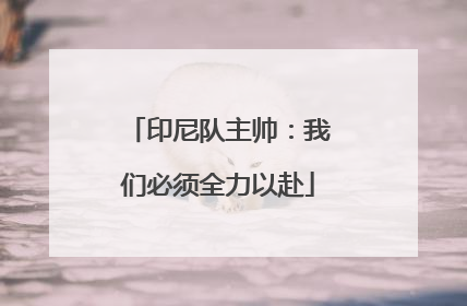 印尼队主帅：我们必须全力以赴