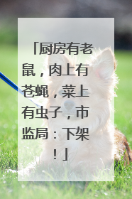 厨房有老鼠，肉上有苍蝇，菜上有虫子，市监局：下架！