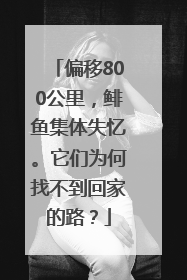偏移800公里，鲱鱼集体失忆。它们为何找不到回家的路？