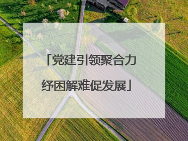 党建引领聚合力 纾困解难促发展