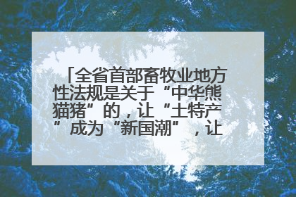 全省首部畜牧业地方性法规是关于“中华熊猫猪”的，让“土特产”成为“新国潮”，让“农产品”升格为“城市IP”