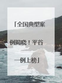 全国典型案例揭晓！平谷一例上榜