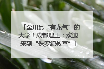 全川最“有龙气”的大学！成都理工：欢迎来到“侏罗纪教室”