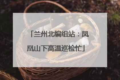 兰州北编组站：凤凰山下高温巡检忙
