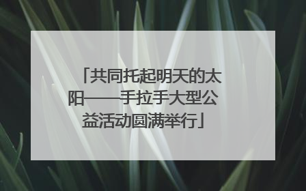 共同托起明天的太阳——手拉手大型公益活动圆满举行