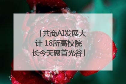 共商AI发展大计 18所高校院长今天聚首光谷