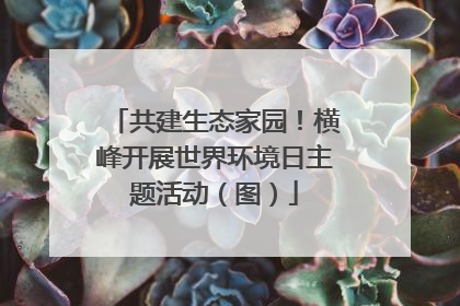 共建生态家园！横峰开展世界环境日主题活动（图）
