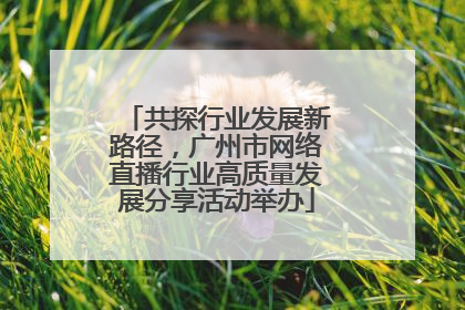 共探行业发展新路径，广州市网络直播行业高质量发展分享活动举办