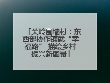 关岭围墙村：东西部协作铺就“幸福路” 描绘乡村振兴新图景