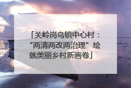 关岭岗乌镇中心村：“两清两改两治理”绘就美丽乡村新画卷