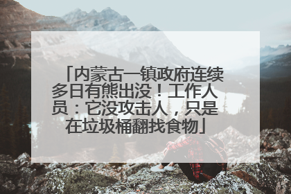 内蒙古一镇政府连续多日有熊出没！工作人员：它没攻击人，只是在垃圾桶翻找食物