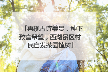 再现古诗美景，种下致富希望，西湖景区村民自发茶园植树