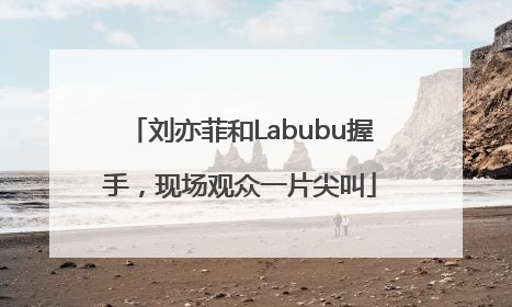 刘亦菲和Labubu握手，现场观众一片尖叫