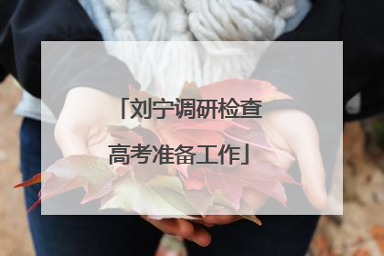 刘宁调研检查高考准备工作