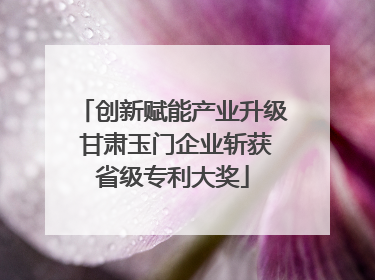 创新赋能产业升级 甘肃玉门企业斩获省级专利大奖