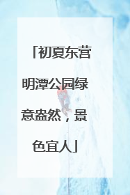 初夏东营明潭公园绿意盎然，景色宜人