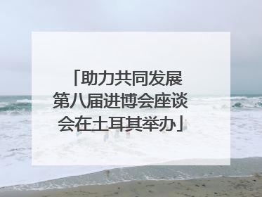 助力共同发展 第八届进博会座谈会在土耳其举办