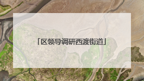 区领导调研西渡街道