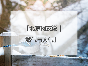 北京网友说｜燃气与人气