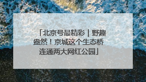 北京号最精彩｜野趣盎然！京城这个生态桥连通两大网红公园