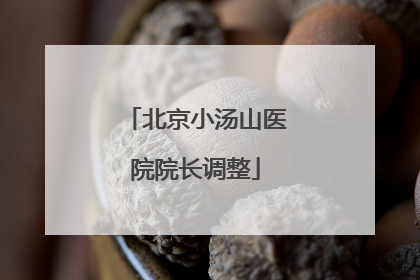 北京小汤山医院院长调整