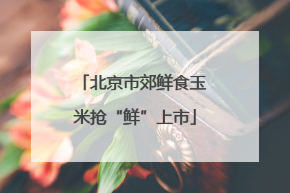 北京市郊鲜食玉米抢“鲜”上市