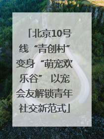 北京10号线“青创村”变身“萌宠欢乐谷” 以宠会友解锁青年社交新范式