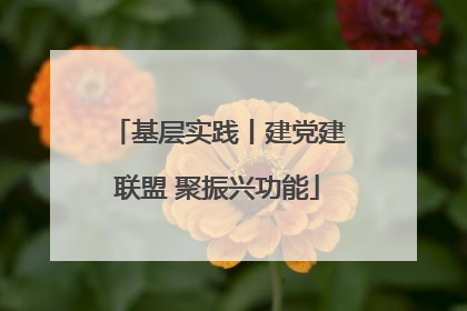 基层实践丨建党建联盟 聚振兴功能