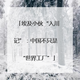 埃及小伙“入川记”：中国不只是“世界工厂”