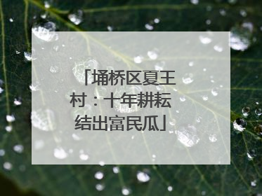 埇桥区夏王村：十年耕耘结出富民瓜