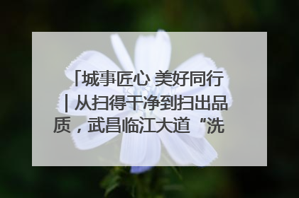 城事匠心 美好同行｜从扫得干净到扫出品质，武昌临江大道“洗”出洁净样板路