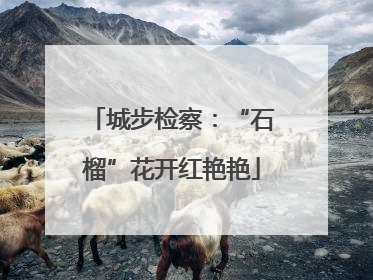 城步检察：“石榴”花开红艳艳