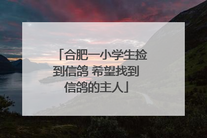 合肥一小学生捡到信鸽 希望找到信鸽的主人