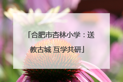 合肥市杏林小学：送教古城 互学共研