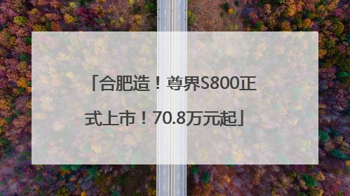 合肥造！尊界S800正式上市！70.8万元起