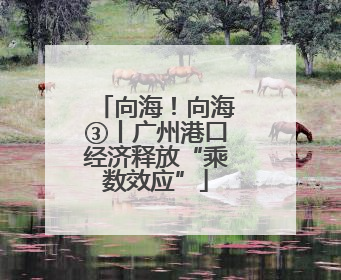 向海！向海③丨广州港口经济释放“乘数效应”