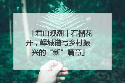 君山观潮｜石榴花开，峄城谱写乡村振兴的“新”篇章