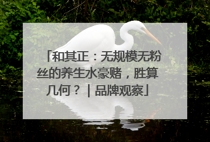和其正：无规模无粉丝的养生水豪赌，胜算几何？｜品牌观察
