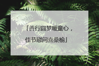 善行圆梦暖童心，佳节慰问喜桑榆