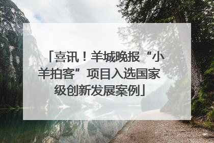 喜讯！羊城晚报“小羊拍客”项目入选国家级创新发展案例